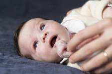 Elie RODET VIDAL - RODET VIDAL ELIE