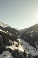 Damien LEMAIRE - DAMIEN LEMAIRE