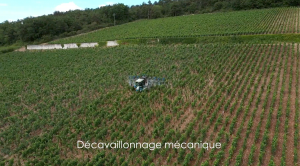 Yvan ARCHENAULT - Yvan ARCHENAULT Photographe